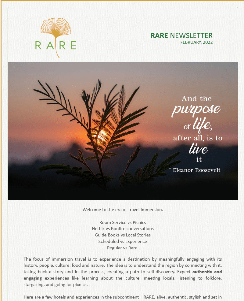 gINKgo I RARE Newsletter | Every Experience Is RARE! | Vol 55 | Feb 2022